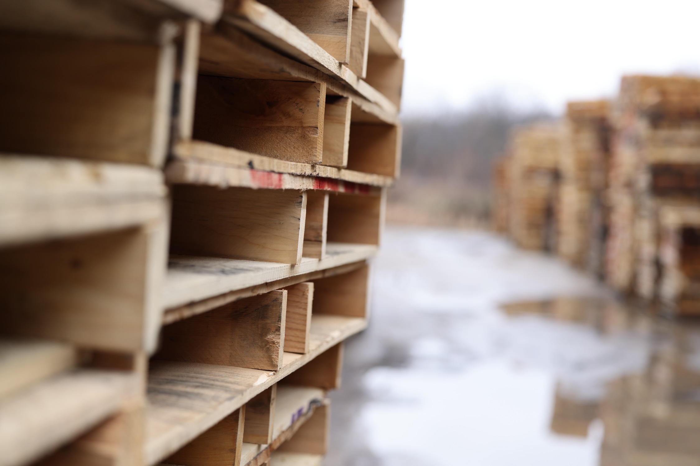 Pallet Services in Wisconsin