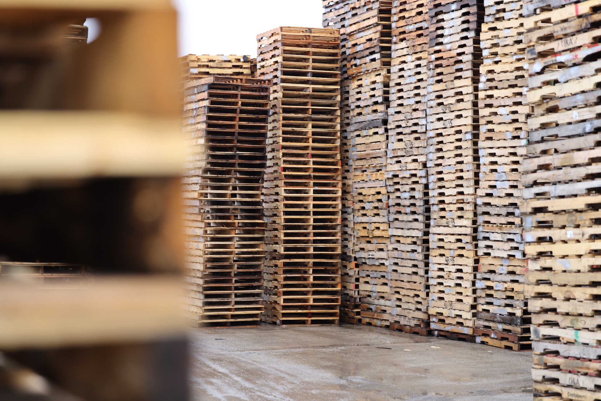 Stacks of recycled wood pallets