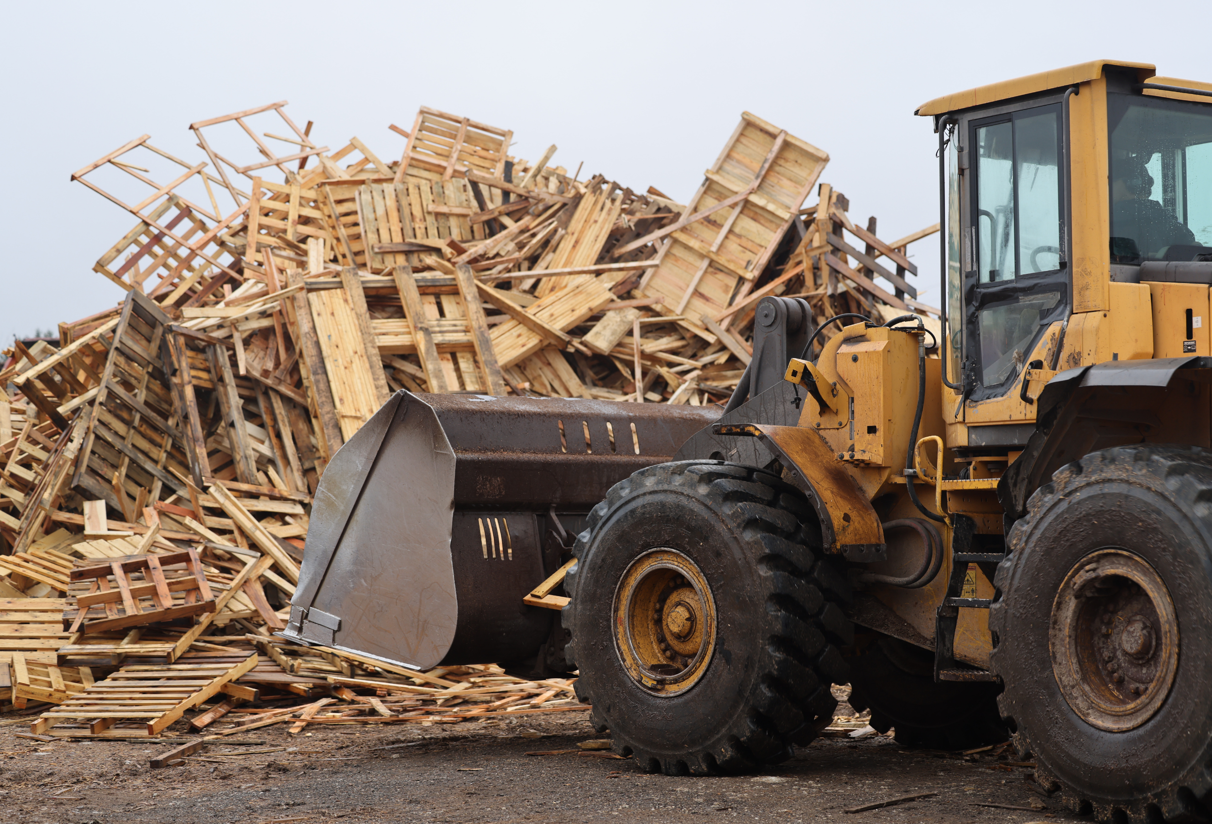 Scrap Wood Removal